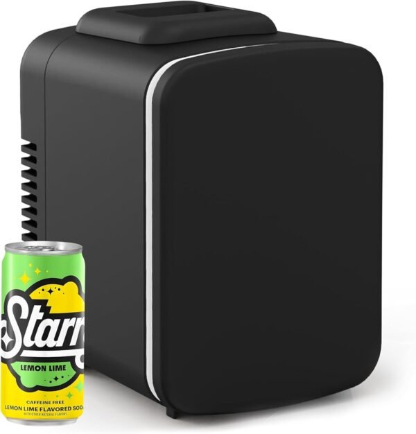 Mini Portable Cooler & Warmer Refrigerator